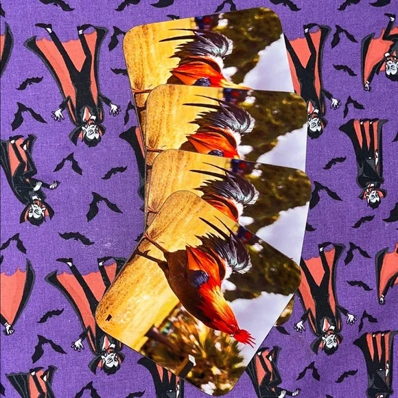 Colorful Rooster Coaster - Picture 4 of 11